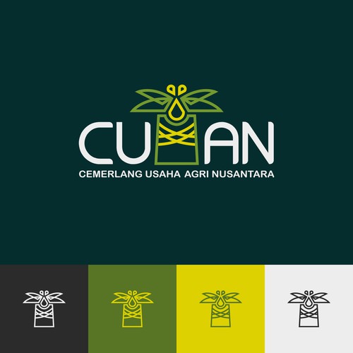 CUAN - Logo Concept