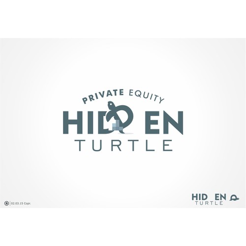 Hidden Turtle