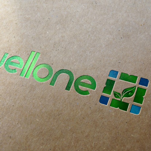 Create the identity of the future of discounted health care: WellOne