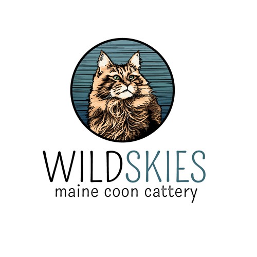 Design a logo for a Maine Coon cat breeder