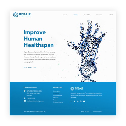 Wordpress design for Repair Biotechnologies