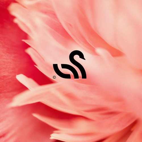 Swan Abstract Monoline Logo Design