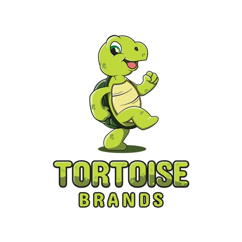 Tortoise Character