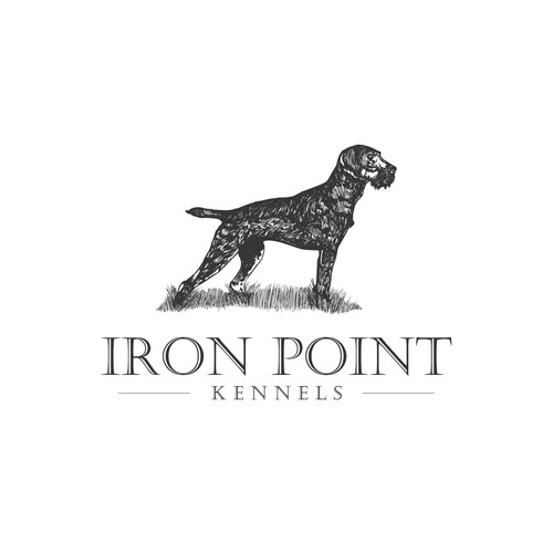 iron point