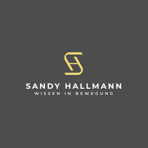 Consulting Logo Design for Sandy Hallmann