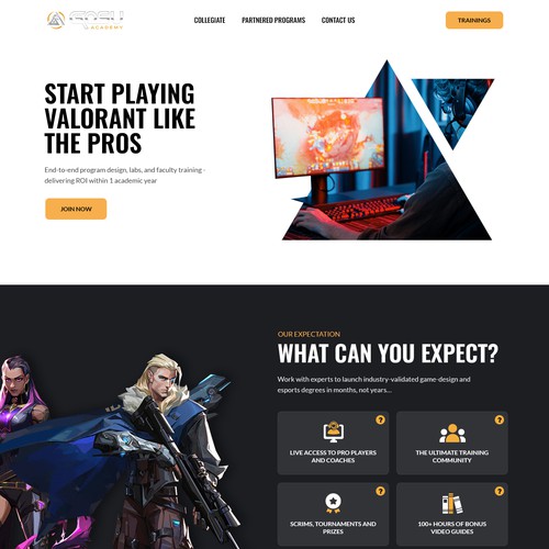 Gosu Academy Design