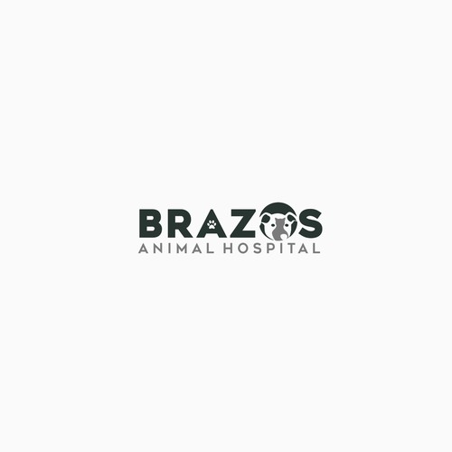 Brazos Animal Hospital