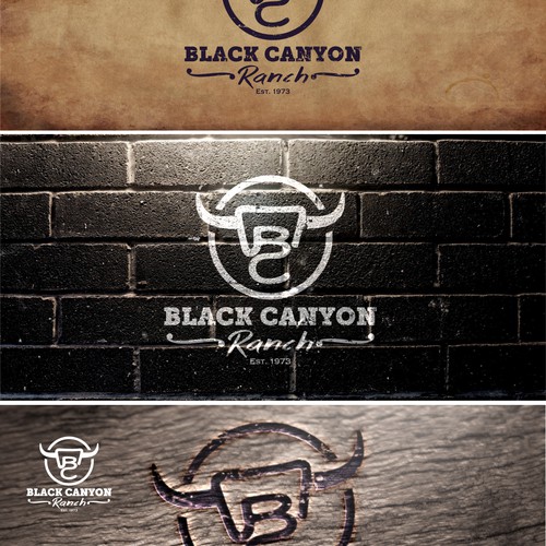 Create a logo that captures the heart of Black Canyon Ranch