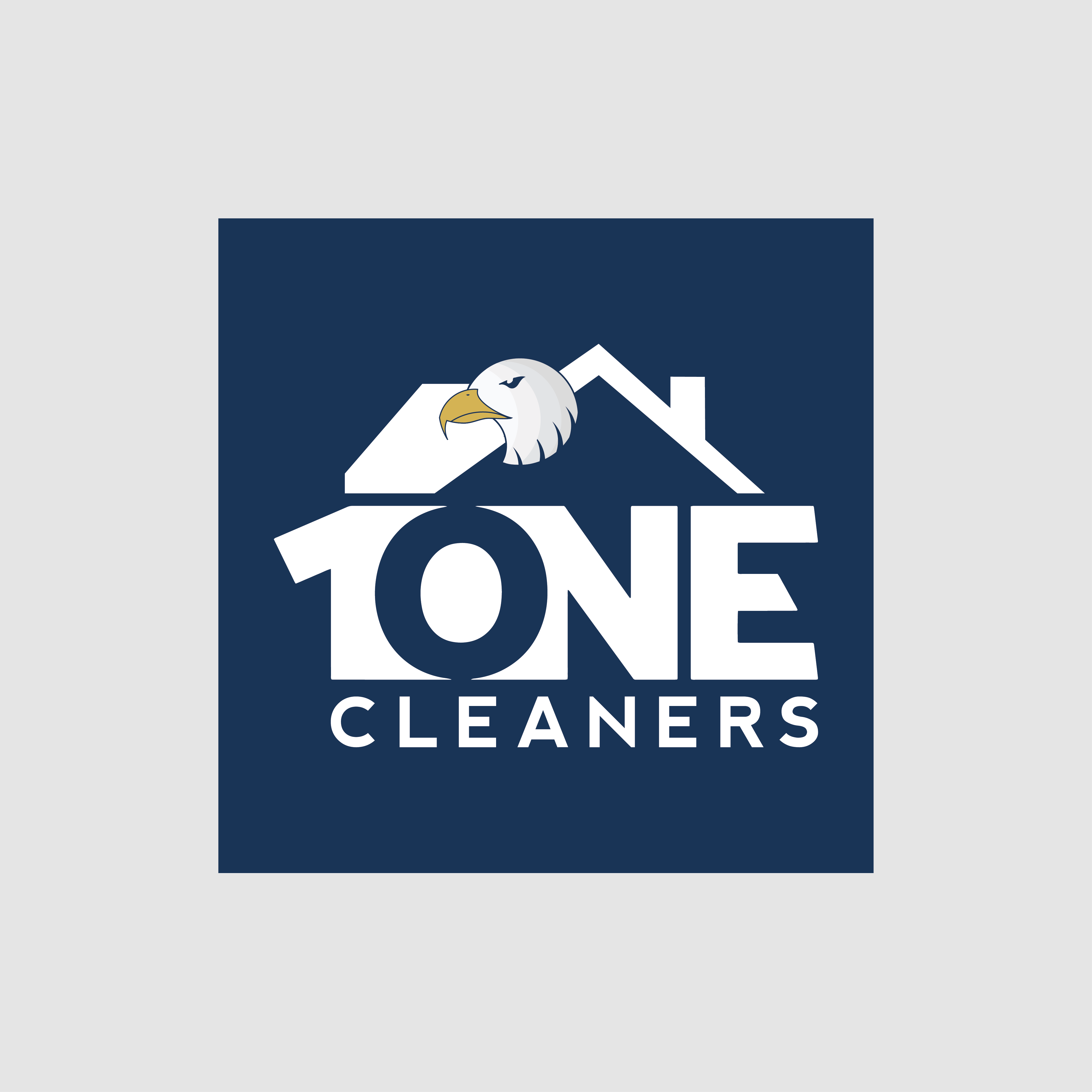 Design a trendy logo for a high quality home cleaning service