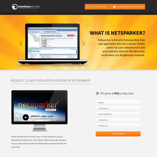 Web Design for Netsparker