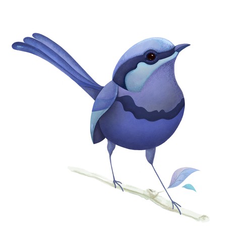 Illustration of an Australian bird
