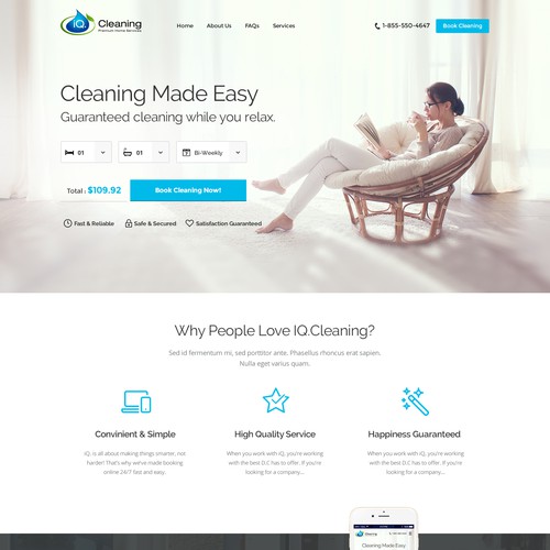 iQ Cleaning Website Design