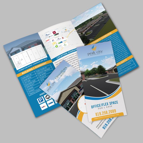 Tri-fold Brochure Design 