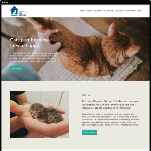 Toronto Cat Rescue Website