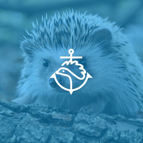 Hedgehog & Anchor