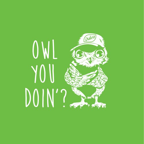 owl