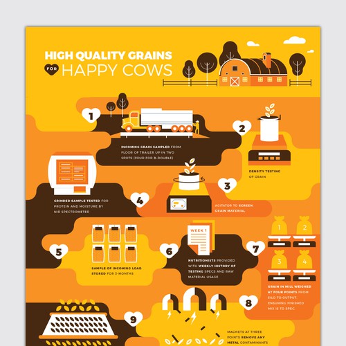 Grain Flow Infographic