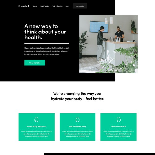 NanoZol Modern Professional Design