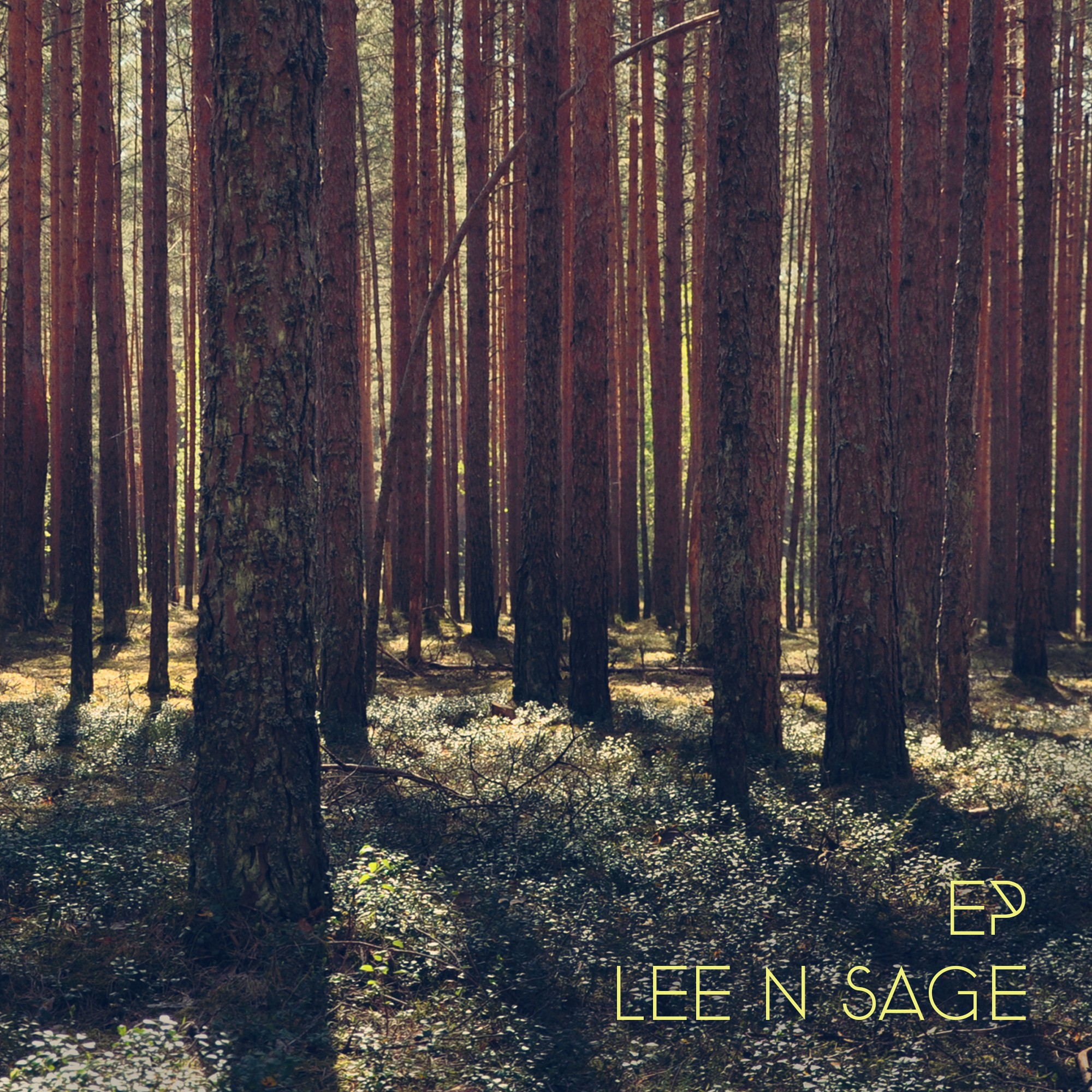 Album art design for a 4 song EP (acoustic solo musician)