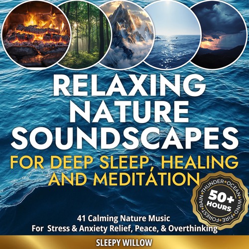 Audio Book Cover