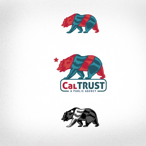 Logo Design for Public Agency