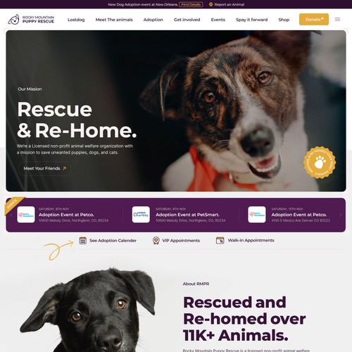 Dog Rescue Website Concept