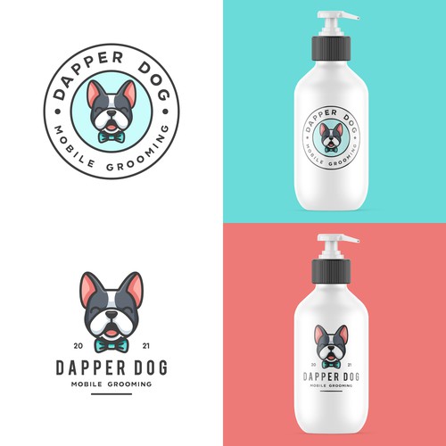 Cute French Bulldog For Dapper Dog 