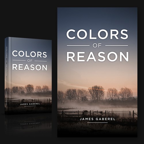 Colors of Reason winner entry