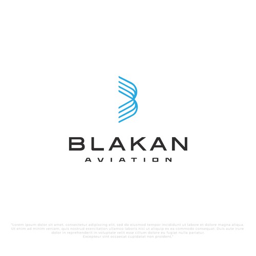 Minimalist Logo Design for Blakan-air transport services