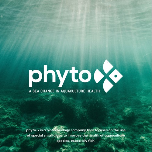 Phyto-x Logo Design