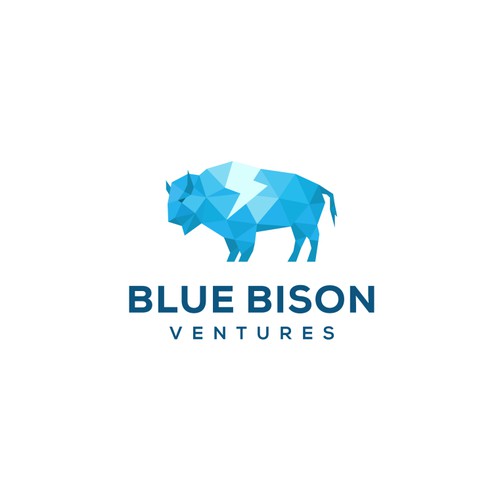 Blue Bison Ventures