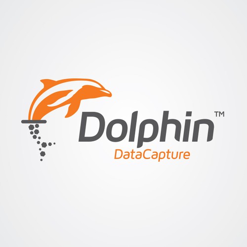 Dolphin Data Capture