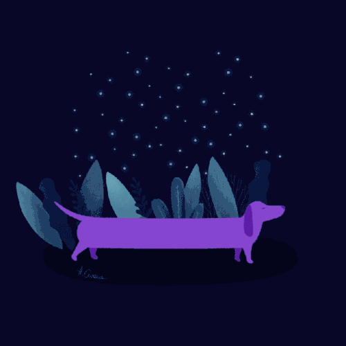 Dachshund animation