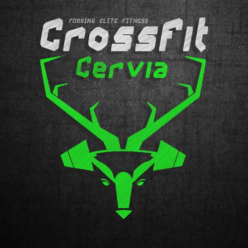 Palestra CrossFit