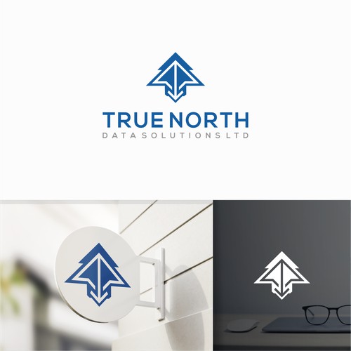 TRUE NORTH DATA SOLUTIONS LTD.