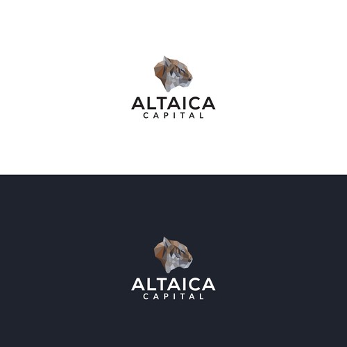 Logo Design For A Capital/Hedge Fund Company