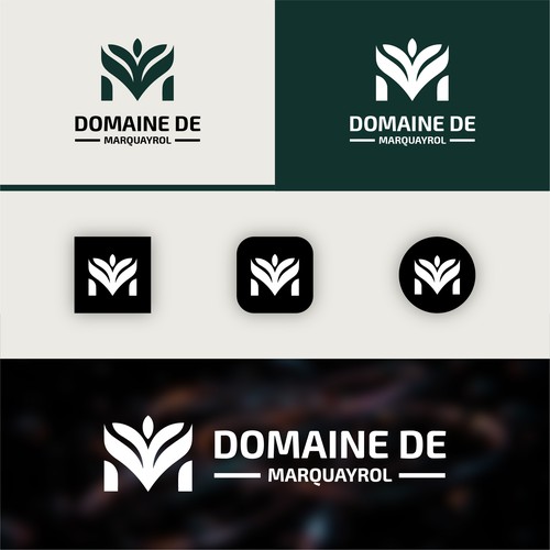 Modern Artistic Logo Concept for Domaine de Marquayrol