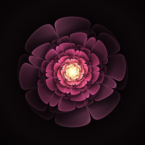 Fractal Flower