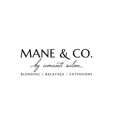 Logo concept for luxury hair services