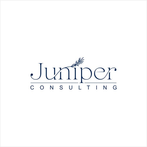 Juniper Consulting, LLC