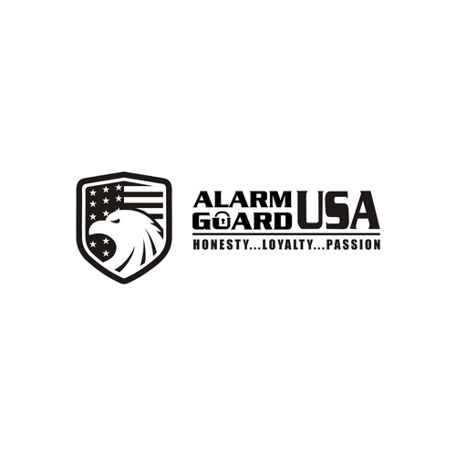 Alarm guard USA