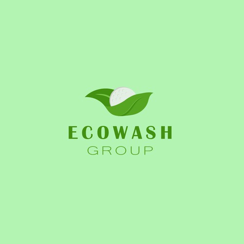 concept logo ECOWASH