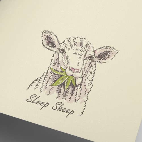 sleep sheep