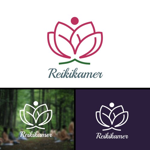 Reikikamer - Chakra, Alternative medicine