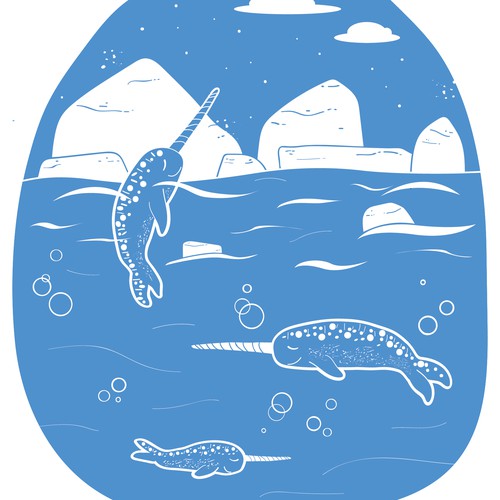 Narwhal illustration / design