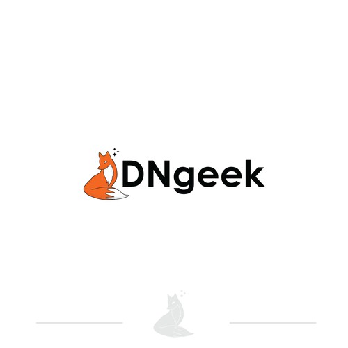 DNgeek