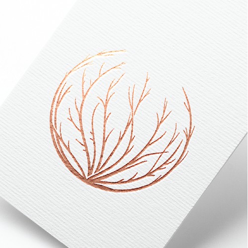 Sweet Tumbleweed logo concept