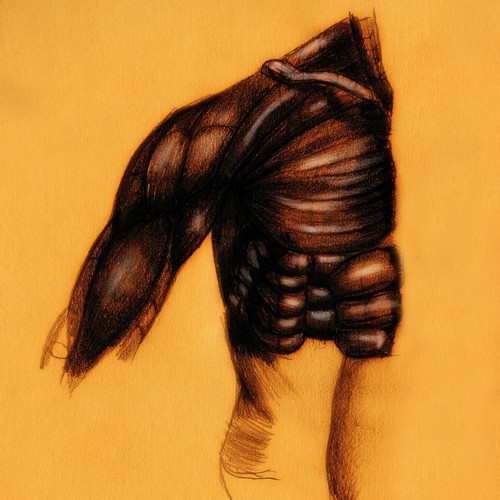 Study exaggerated anatomy