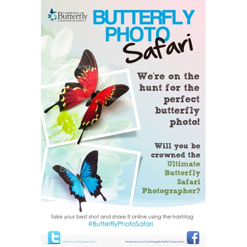 We need a fun and engaging poster for Butterfly Photo Safari!