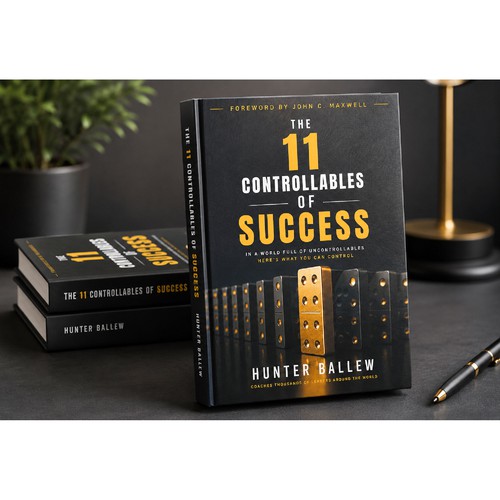 11 Controlables of Success